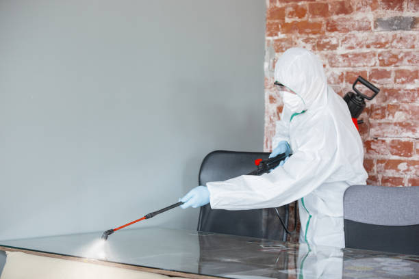 Trusted Magee, MS Mold Removal Services Experts